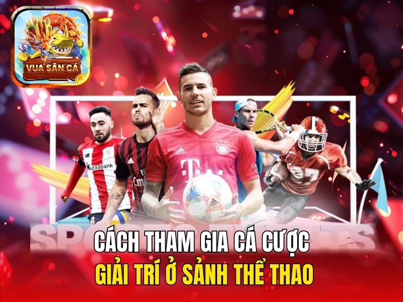 Cách tham gia cá cược giải trí ở sảnh thể thao