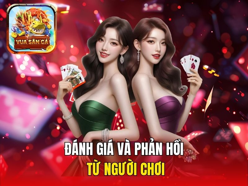 Đánh giá và phản hồi từ người chơi